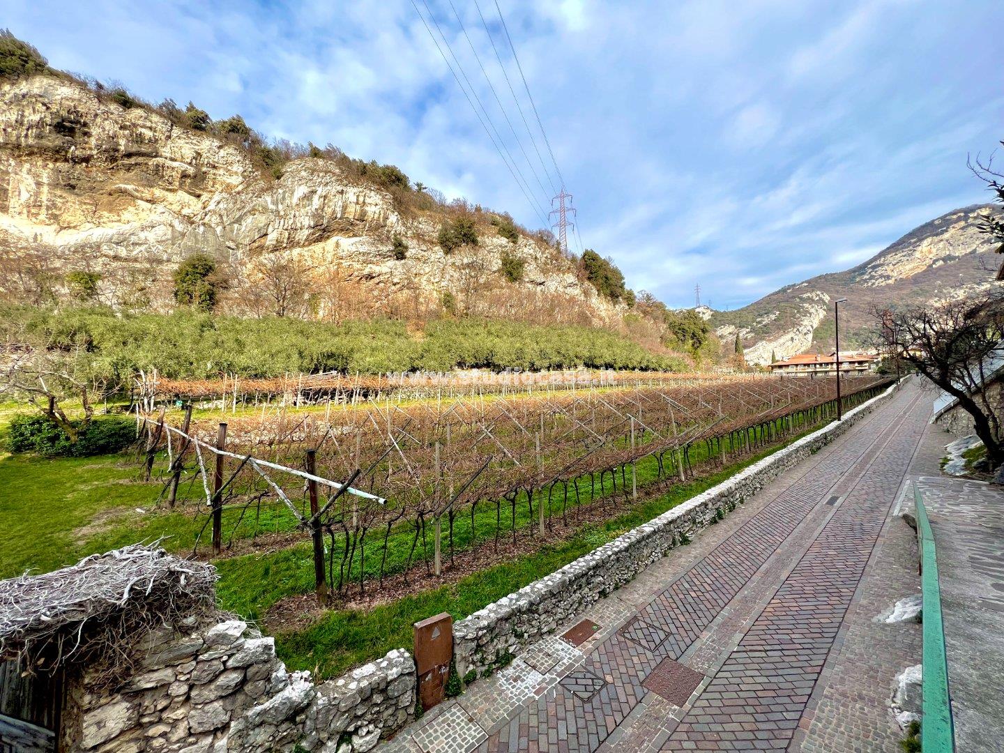 Terreno Agricolo in vendita a Nago-Torbole