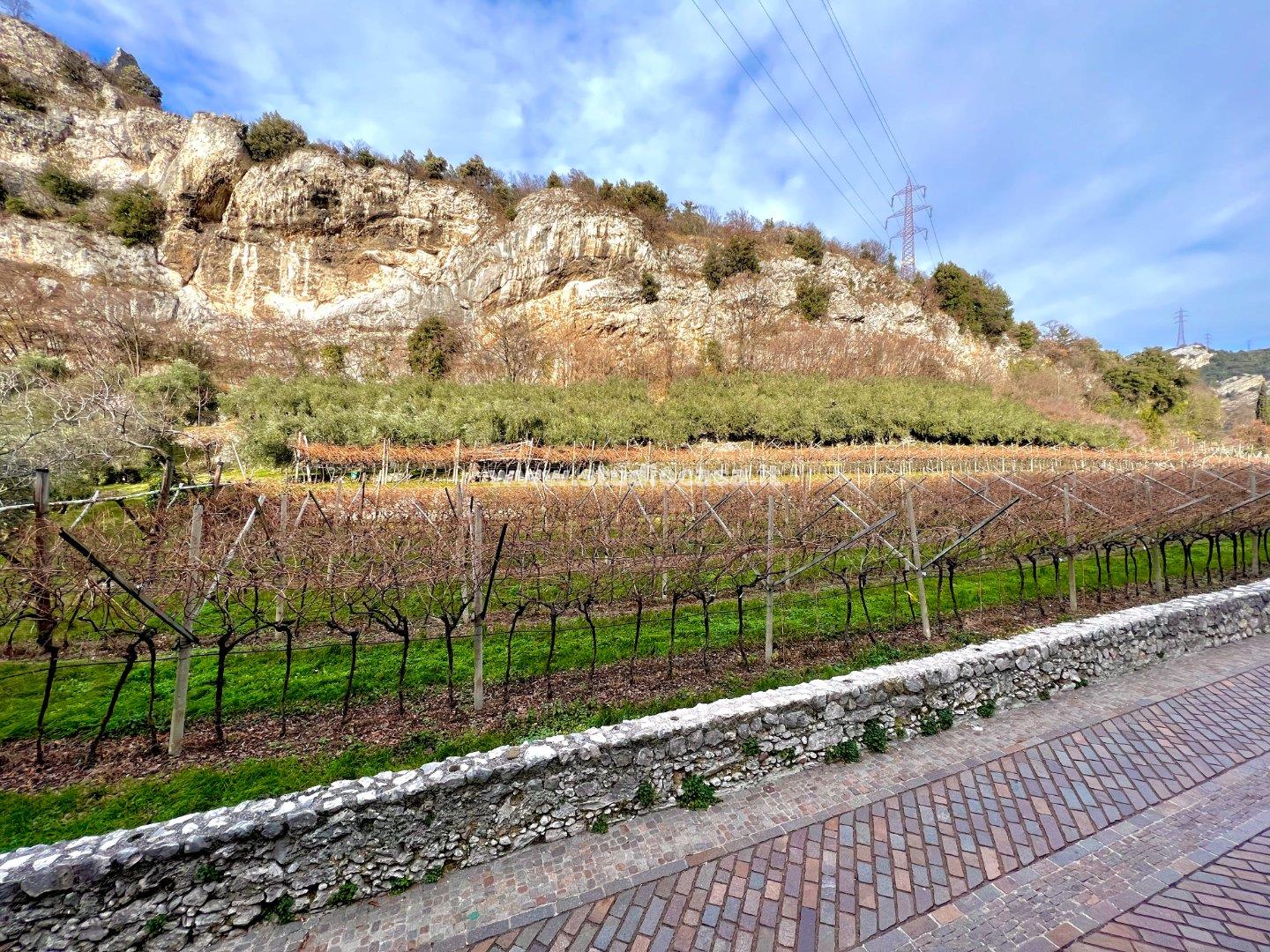 Terreno Agricolo in vendita a Nago-Torbole