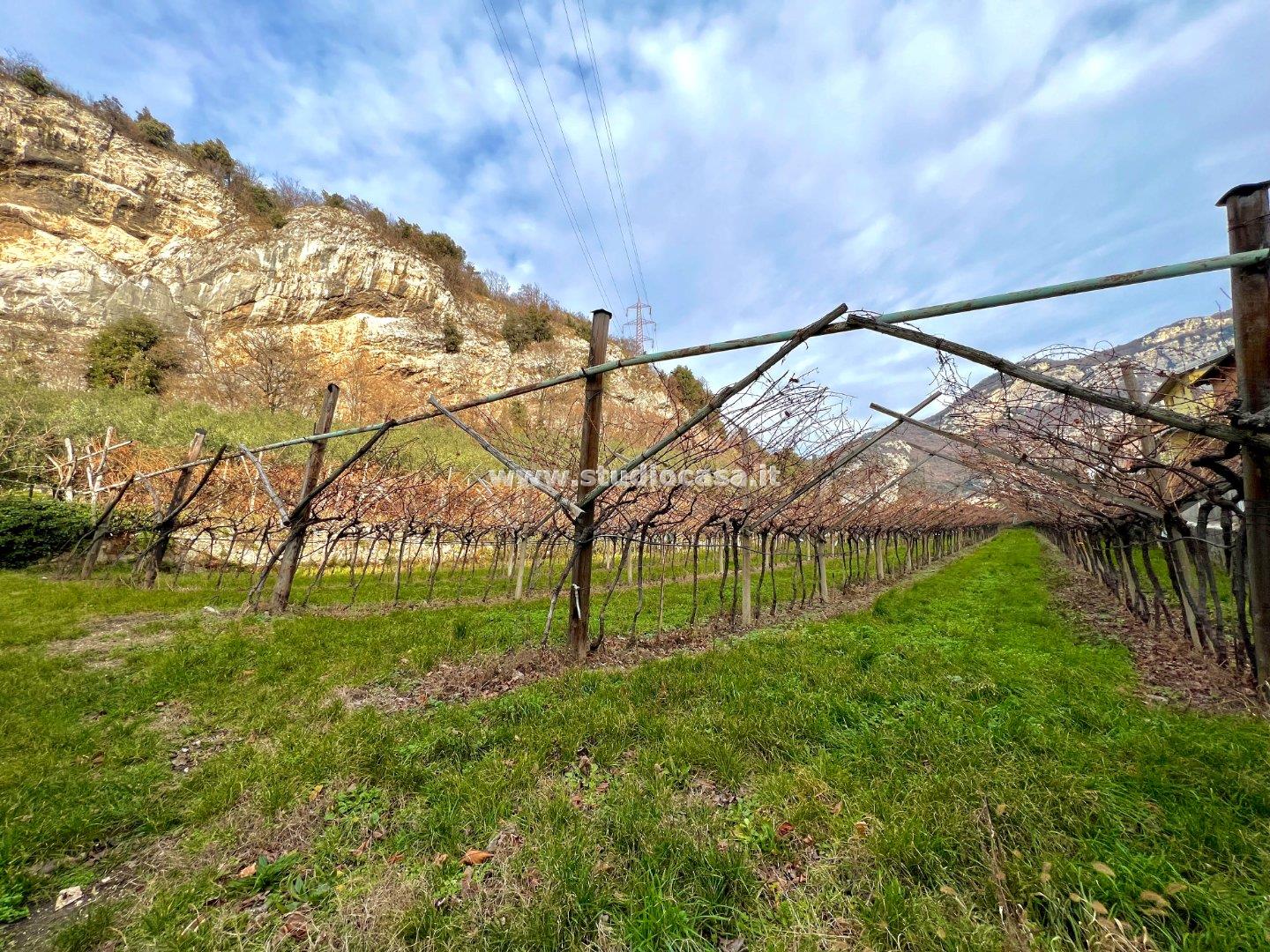 Terreno Agricolo in vendita a Nago-Torbole