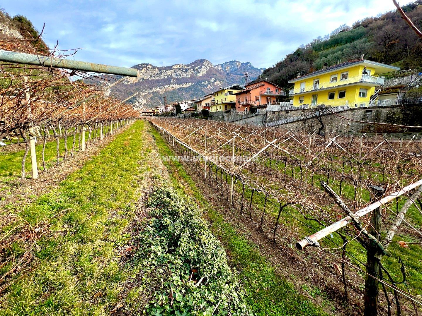 Terreno Agricolo in vendita a Nago-Torbole