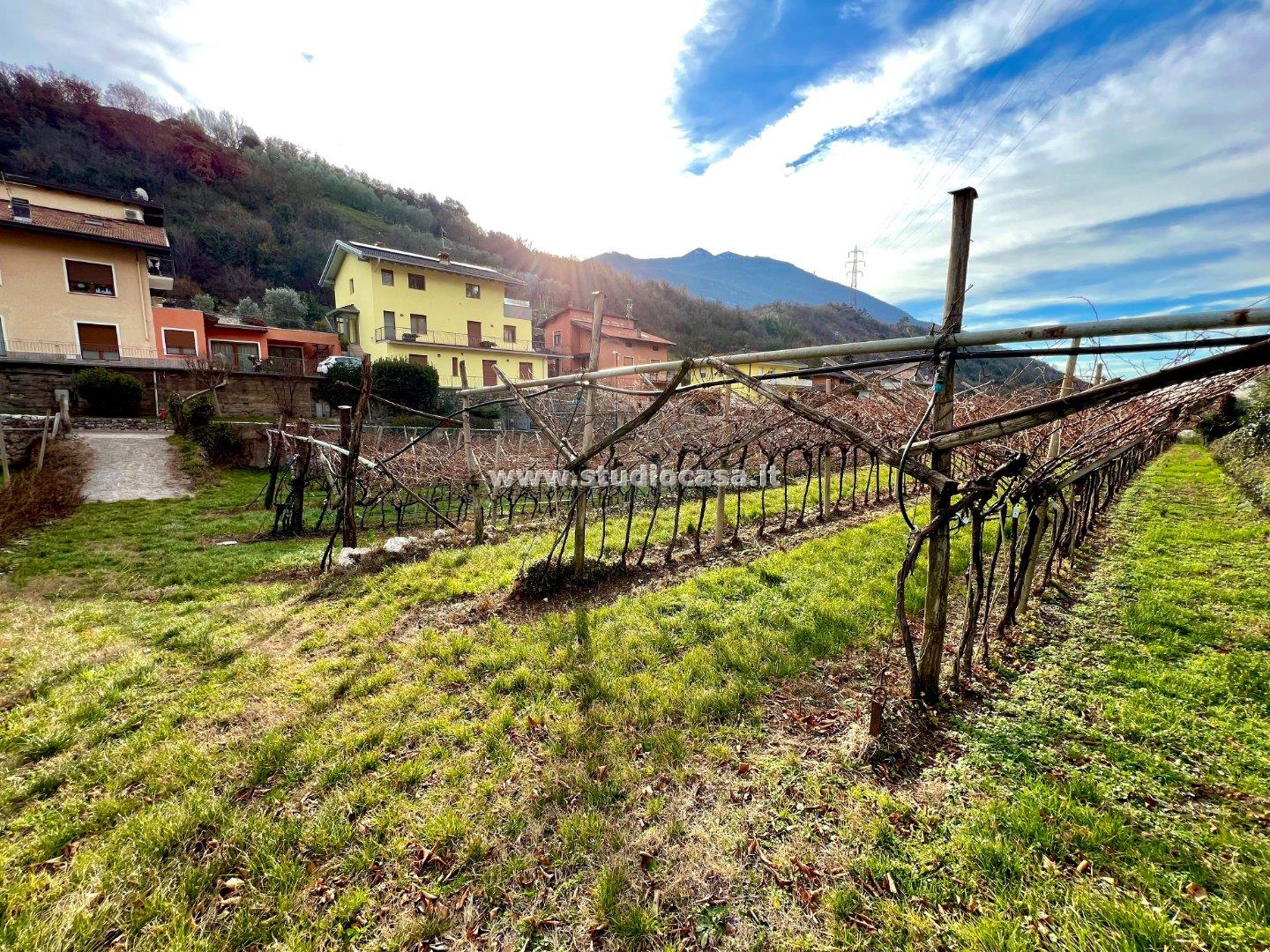 Terreno Agricolo in vendita a Nago-Torbole