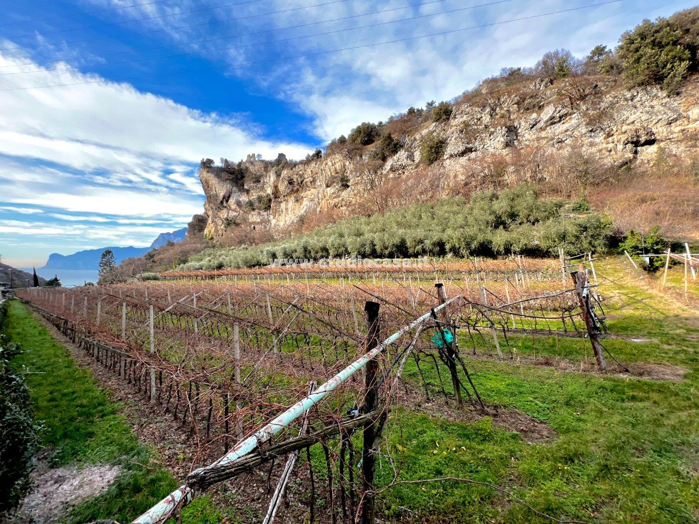 Terreno Agricolo in vendita a Nago-Torbole