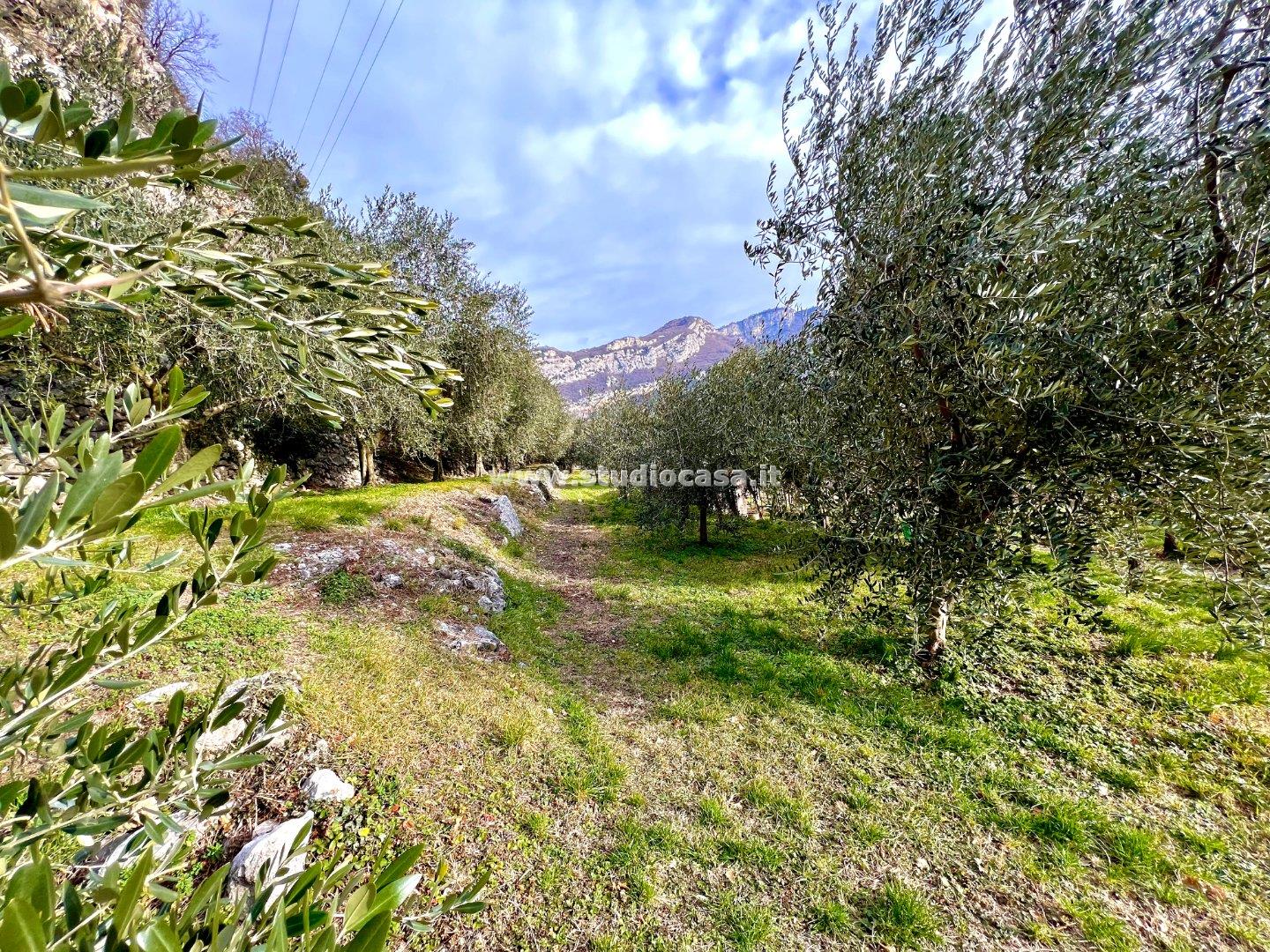 Terreno Agricolo in vendita a Nago-Torbole