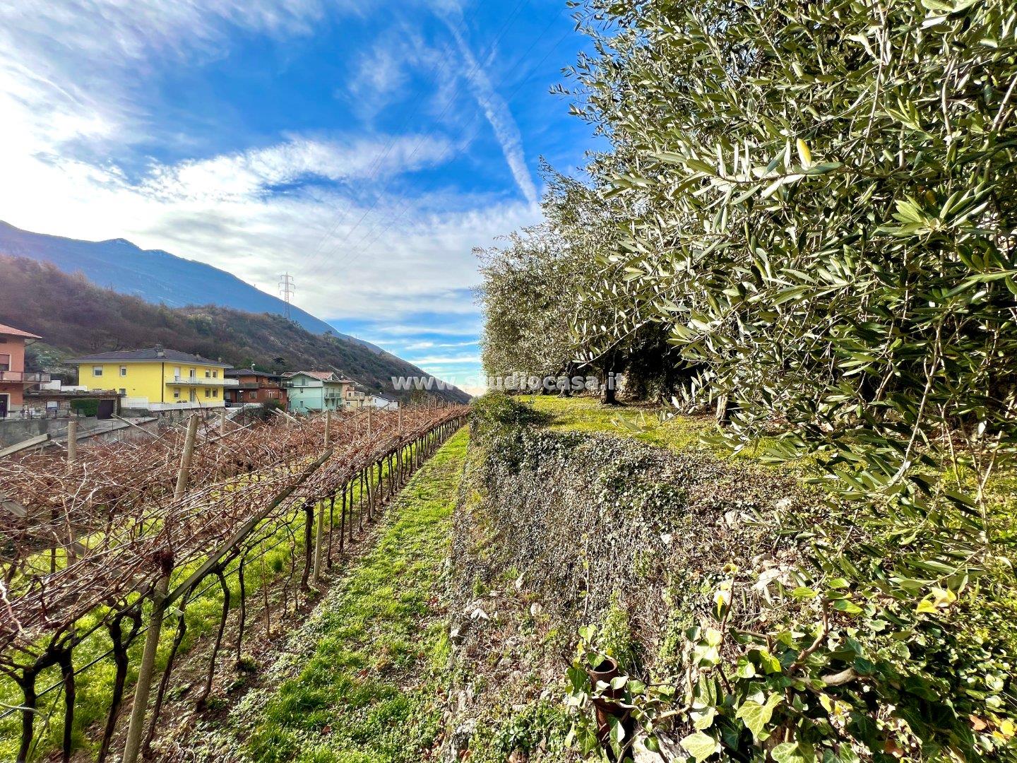 Terreno Agricolo in vendita a Nago-Torbole