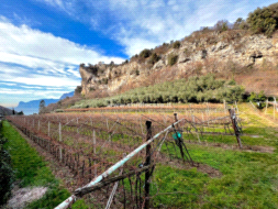 Terreno Agricolo in vendita a Nago-Torbole