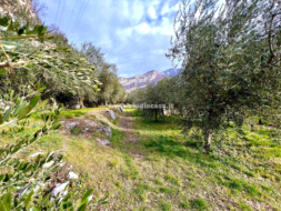 Terreno Agricolo in vendita a Nago-Torbole