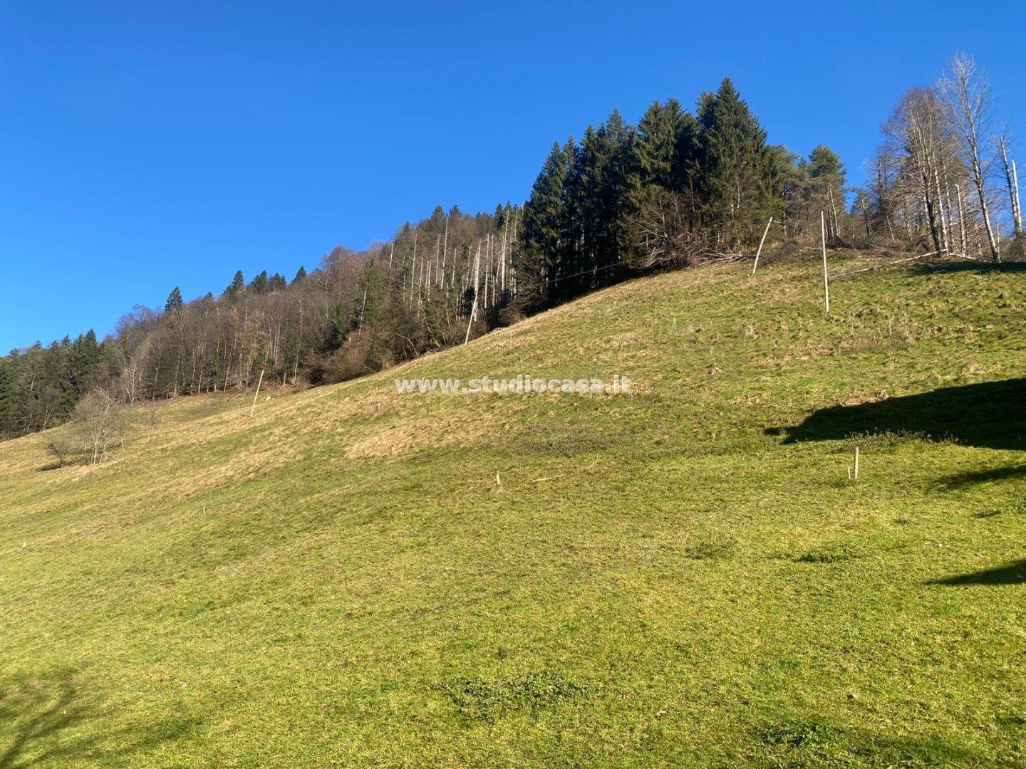 Casa Rustica in vendita a Olmo al Brembo