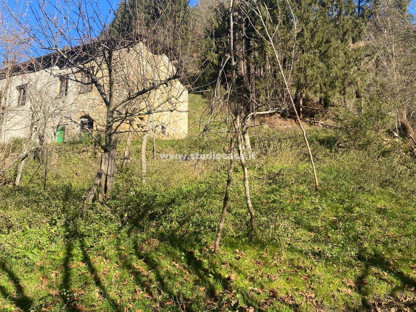 Casa Rustica in vendita a Olmo al Brembo