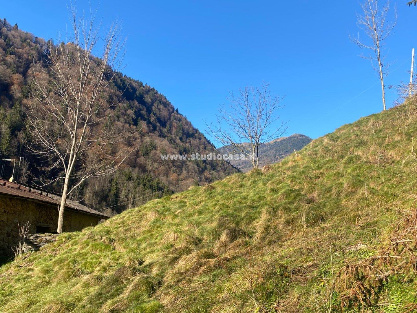 Casa Rustica in vendita a Olmo al Brembo