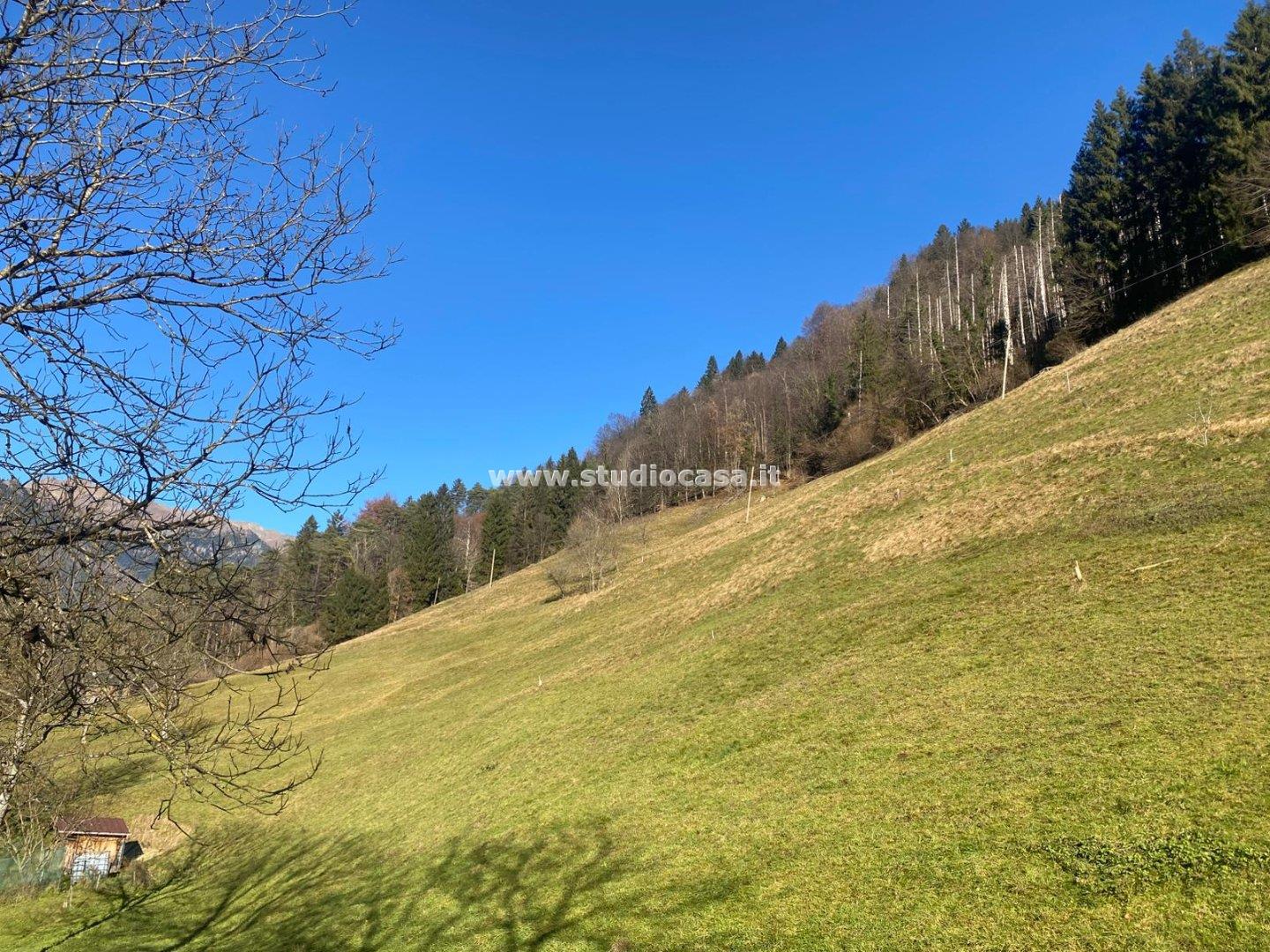 Casa Rustica in vendita a Olmo al Brembo