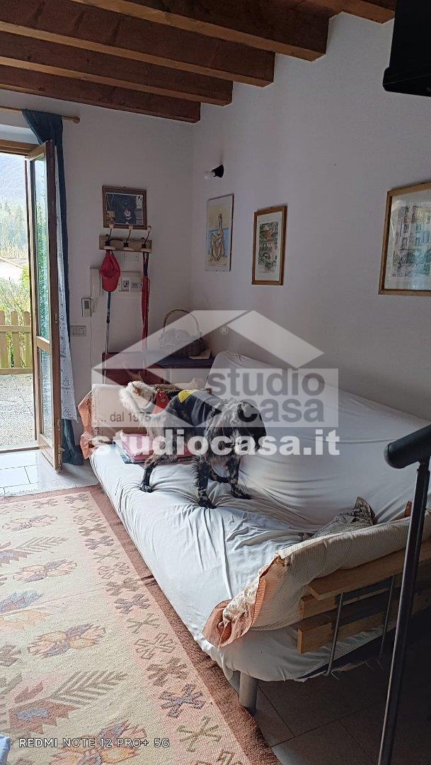 Villa a schiera in vendita a Algua