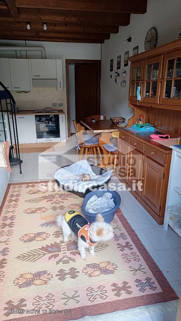 Villa a schiera in vendita a Algua