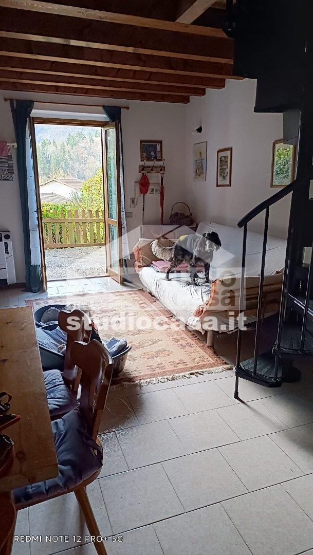 Villa a schiera in vendita a Algua