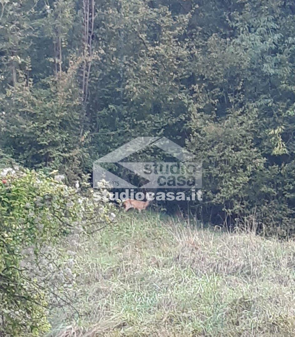 Appartamento in vendita a Bracca