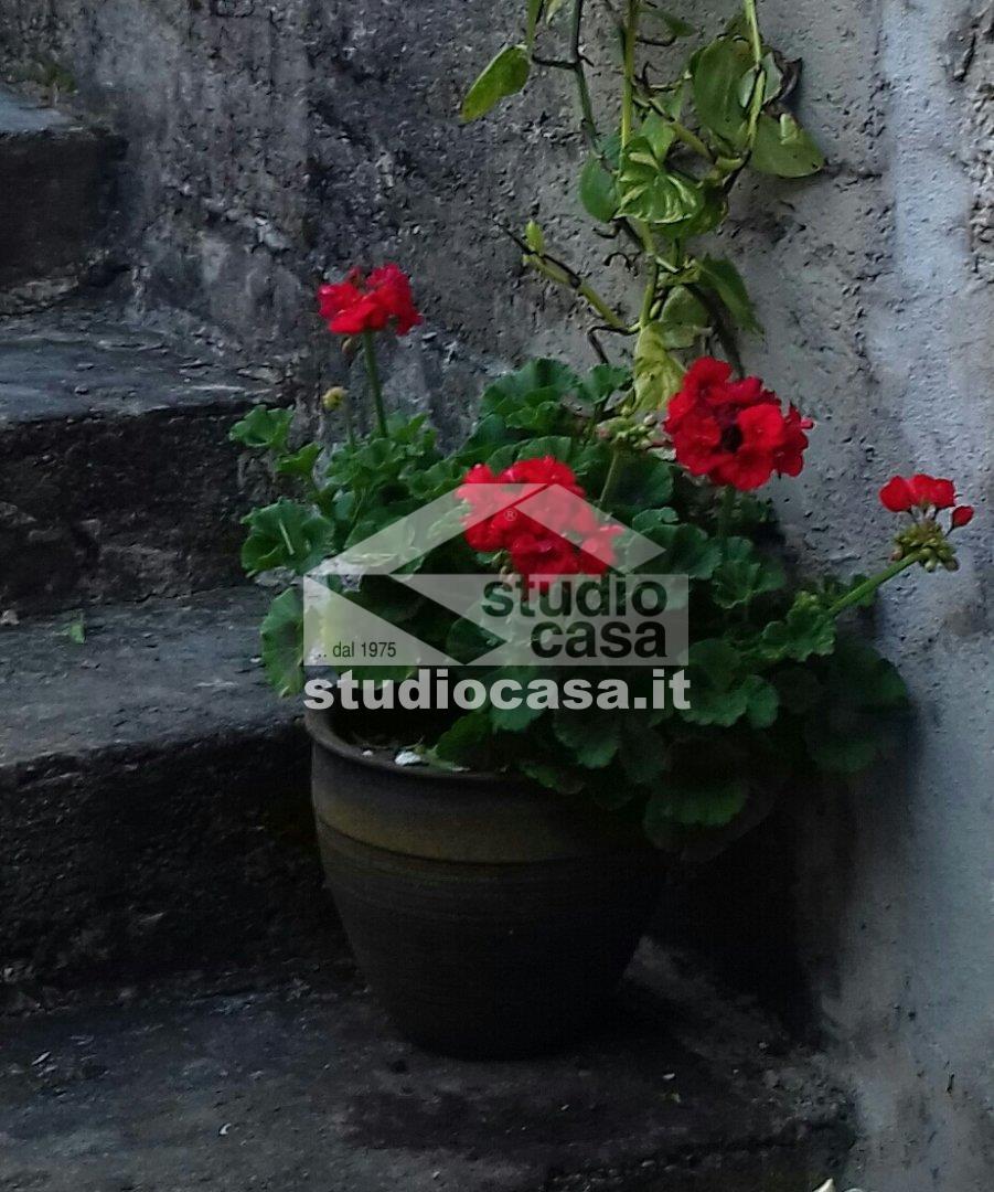 Appartamento in vendita a Bracca