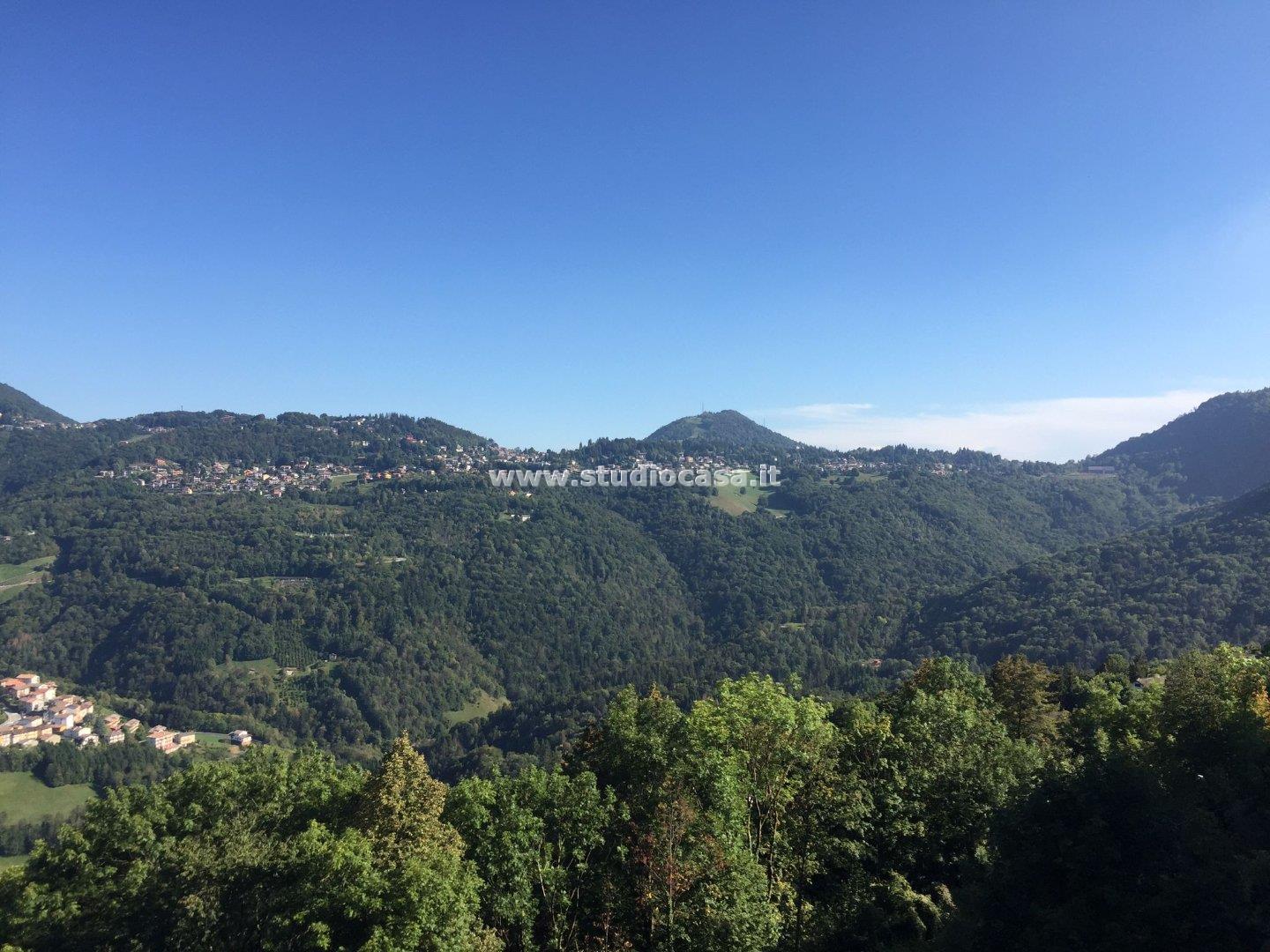 Appartamento in vendita a Algua