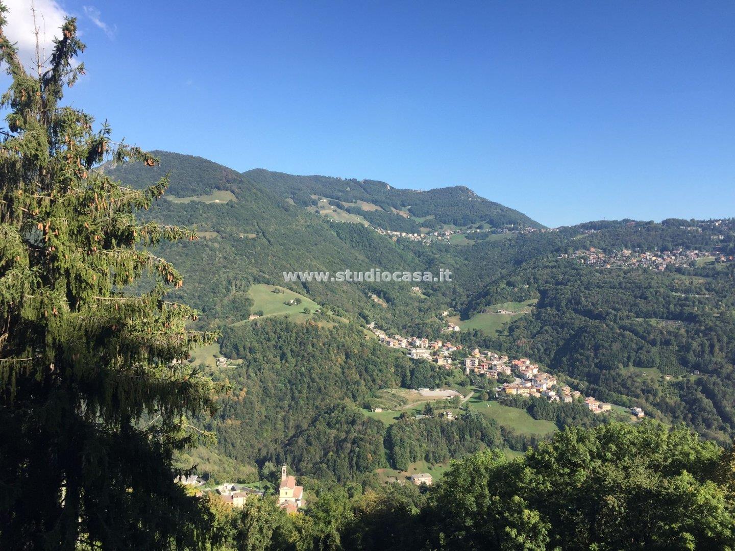 Appartamento in vendita a Algua
