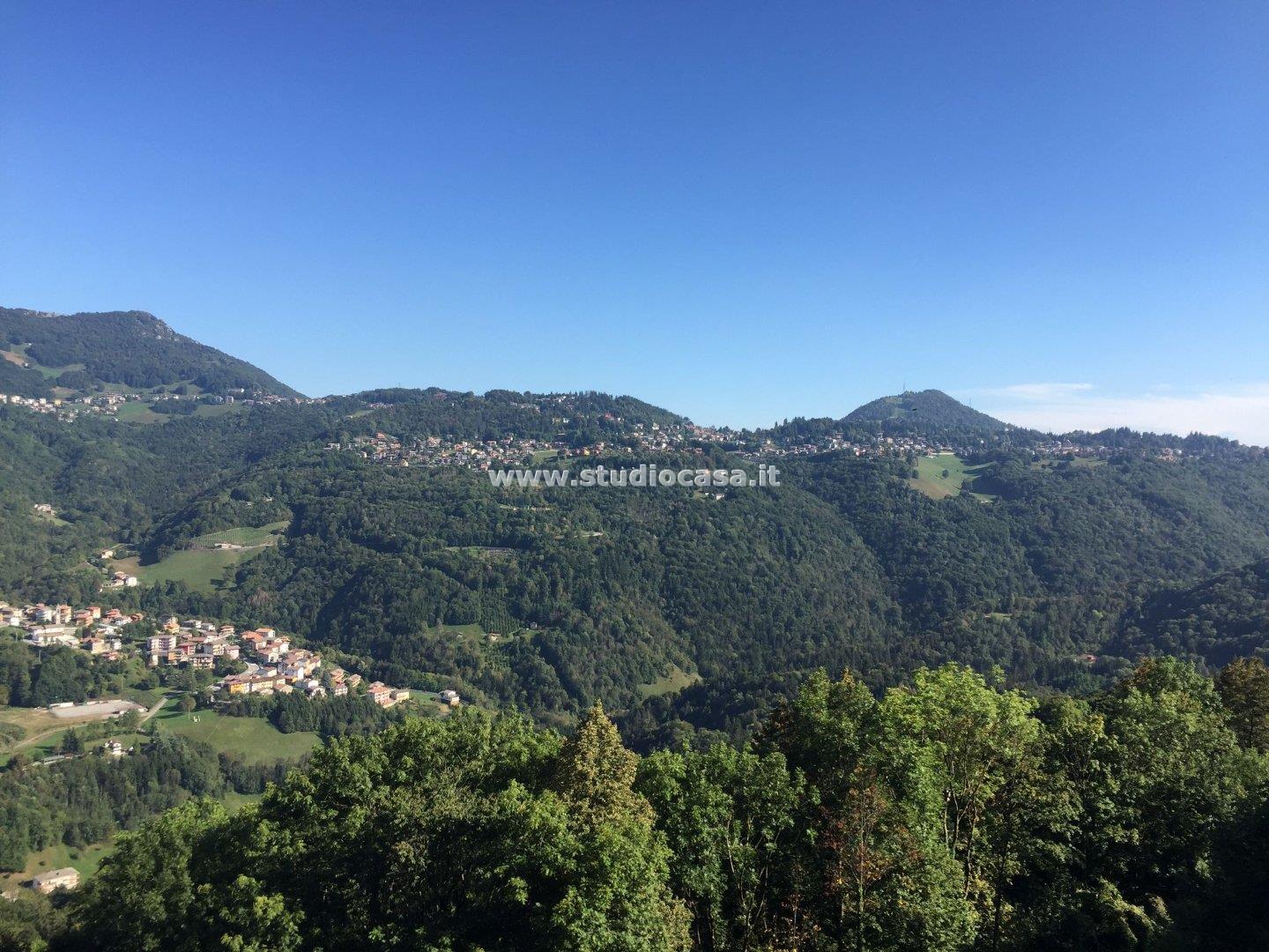 Appartamento in vendita a Algua