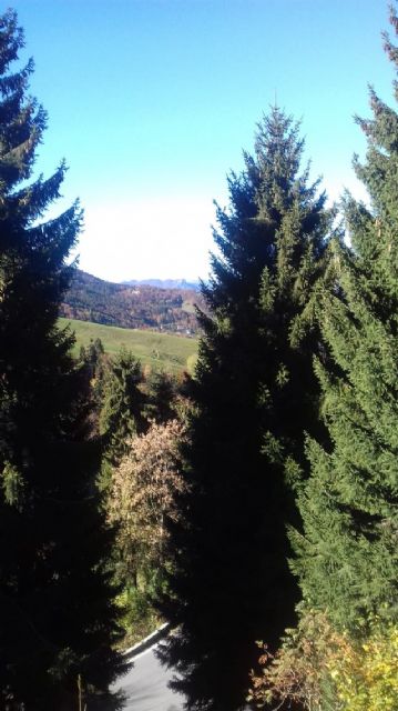 Appartamento in vendita a Oltre il Colle