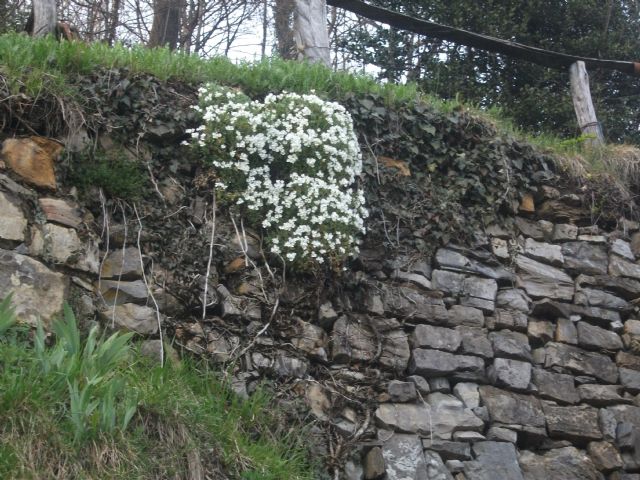 Casa Rustica in vendita a Val Brembilla
