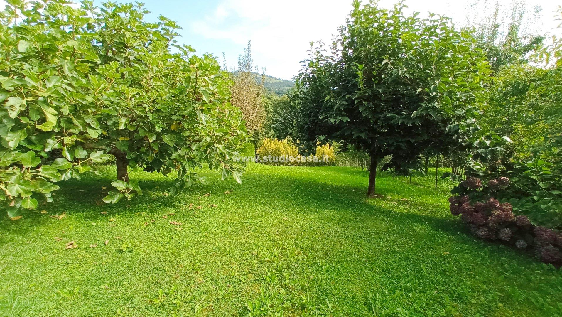 Appartamento in vendita a Premolo