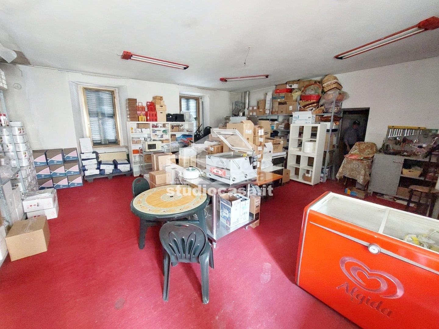 Casa Plurifamiliare in vendita a Ardesio