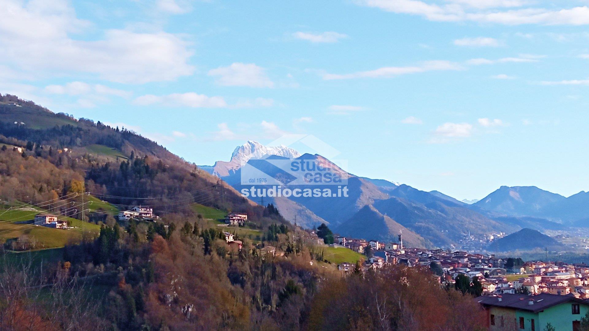 Appartamento in vendita a Premolo