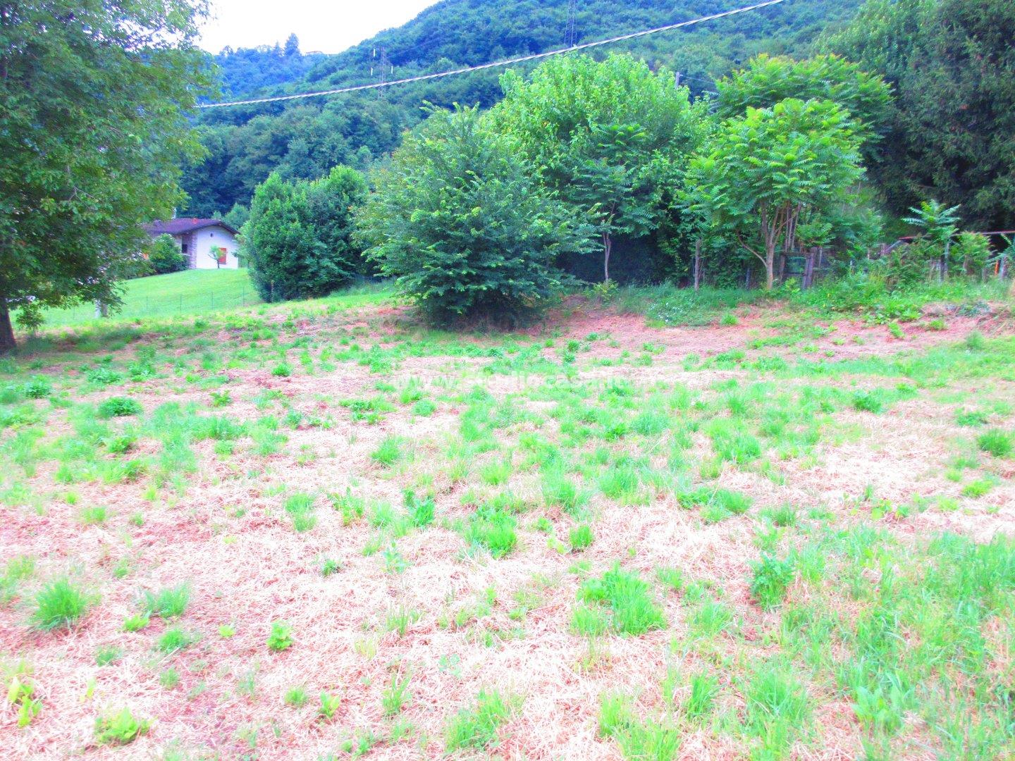 Terreno Residenziale in vendita a Ranzanico