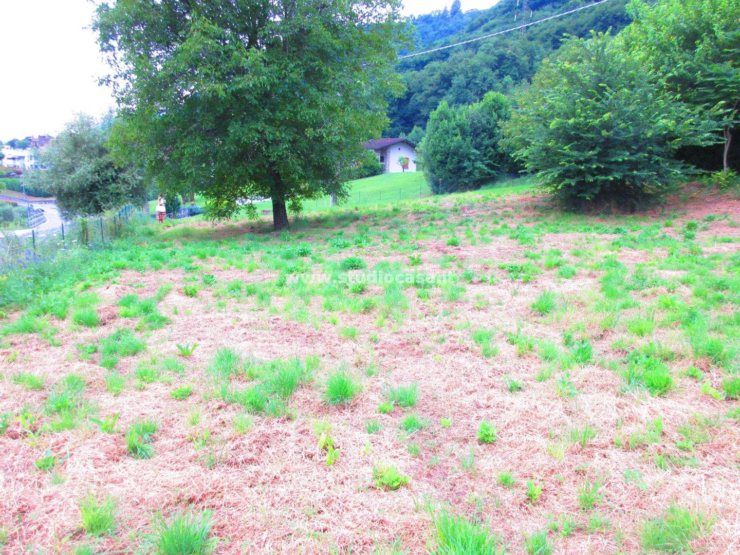 Terreno Residenziale in vendita a Ranzanico