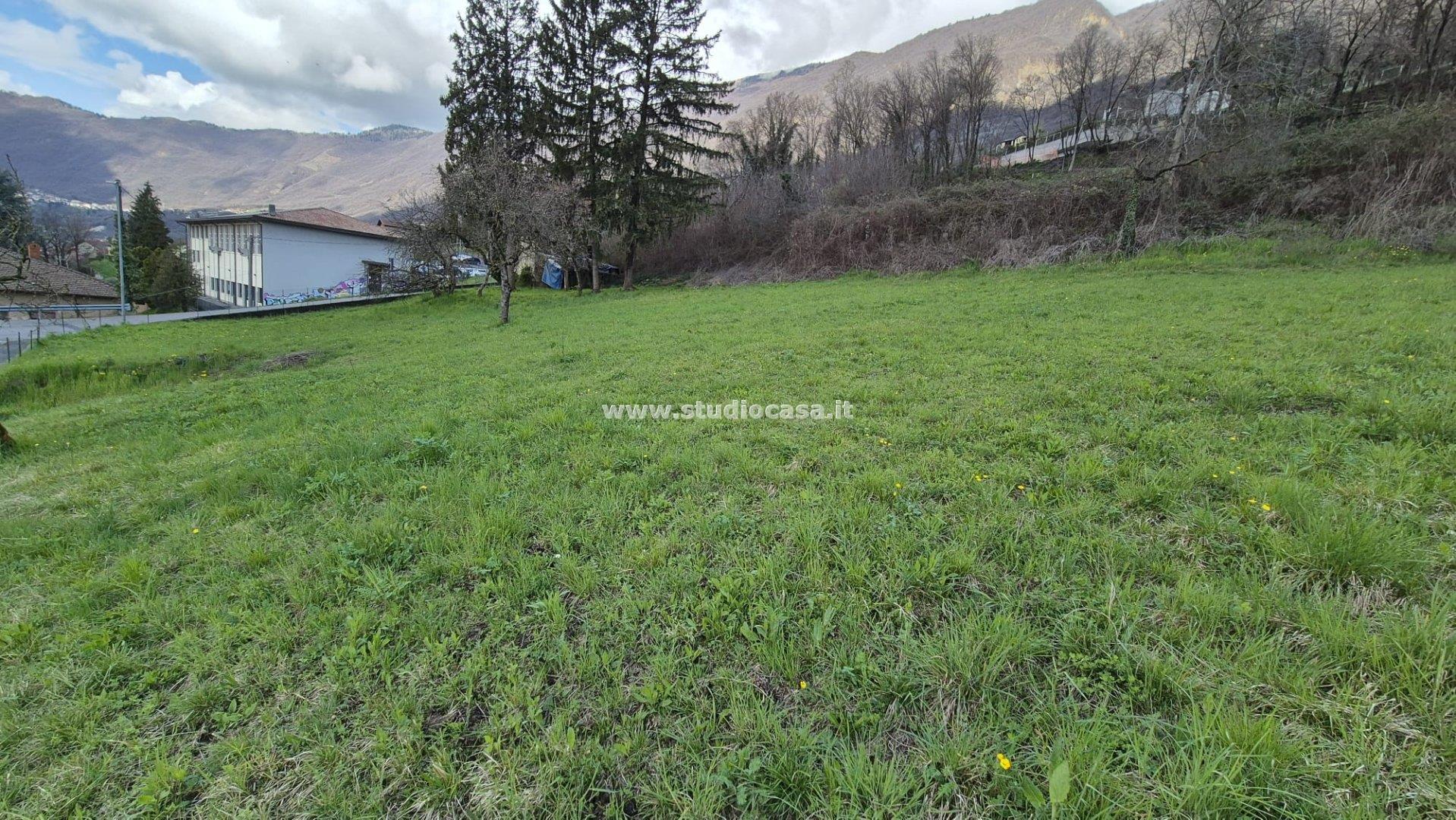 Terreno Agricolo in vendita a Endine Gaiano