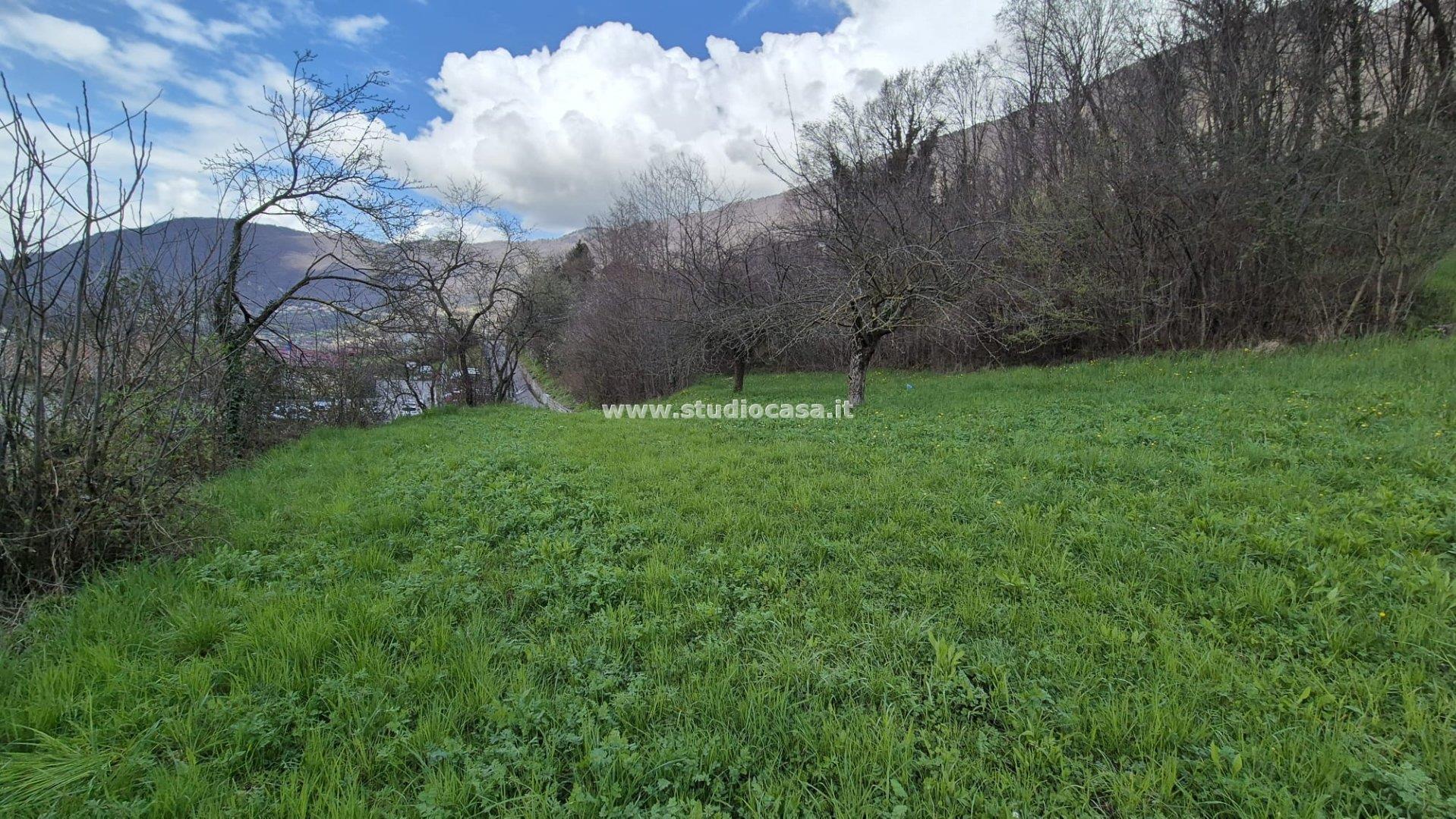 Terreno Agricolo in vendita a Endine Gaiano