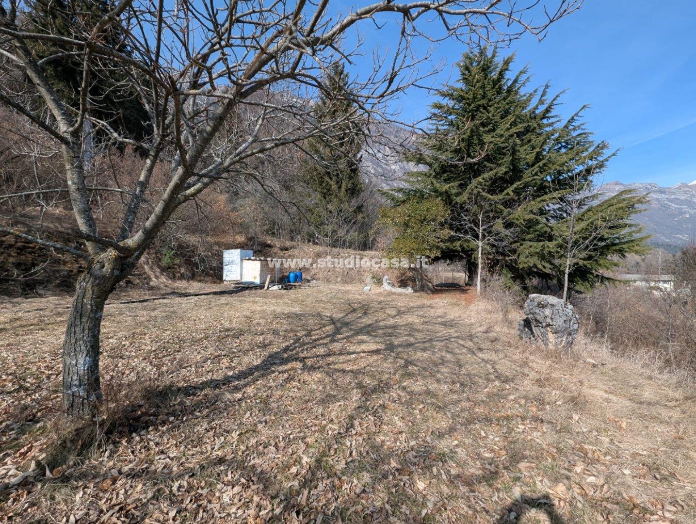 Terreno Boschivo in vendita a Villa Lagarina