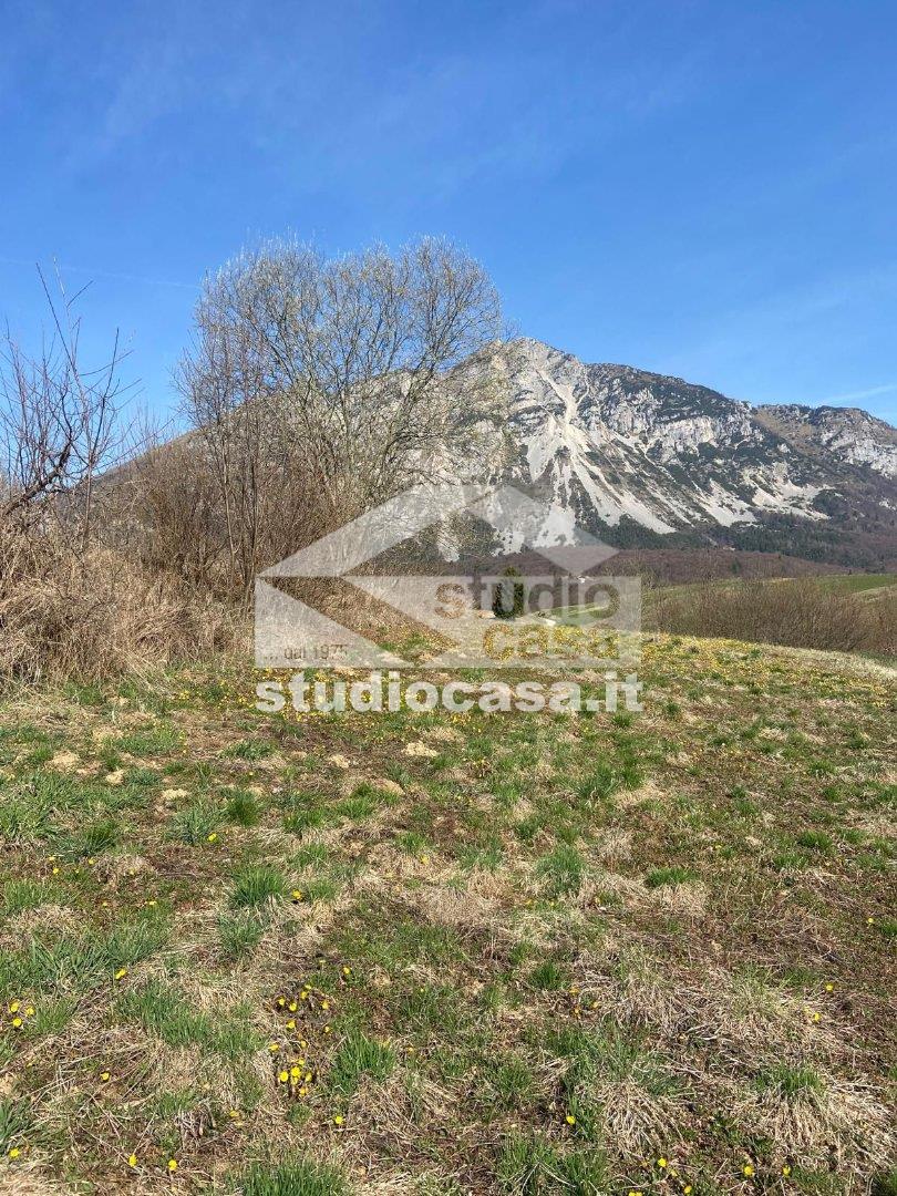 Terreno Agricolo in vendita a Ronzo-Chienis