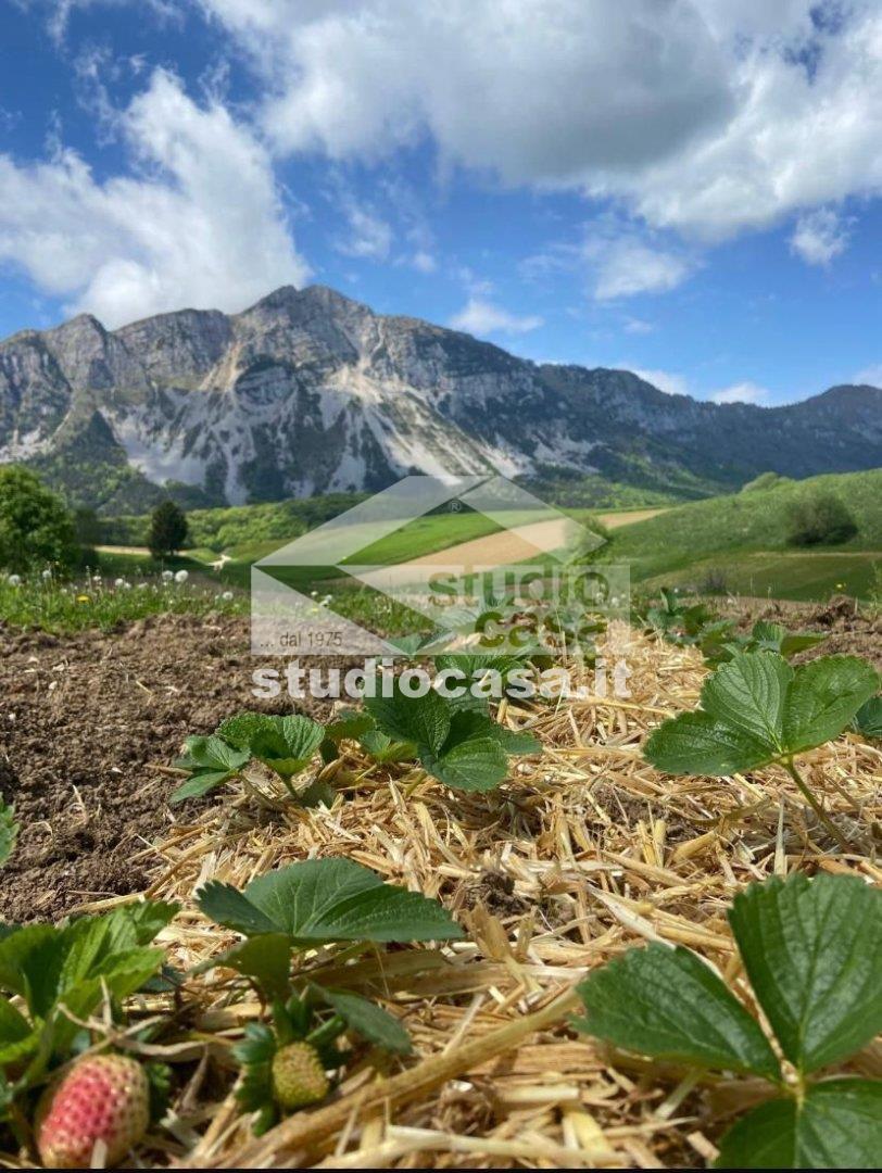 Terreno Agricolo in vendita a Ronzo-Chienis