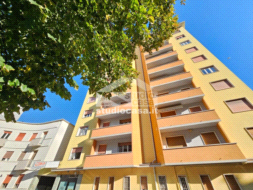Stanza in Appartamento in affitto a Rovereto