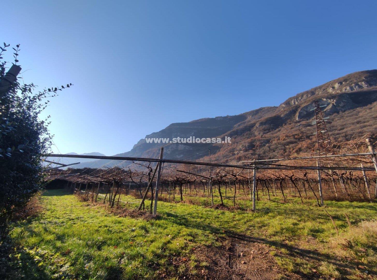 Terreno Agricolo in vendita a Isera
