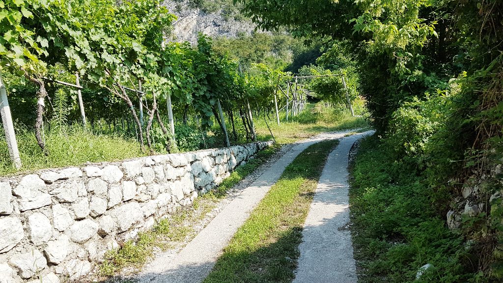 Terreno Agricolo in vendita a Mori