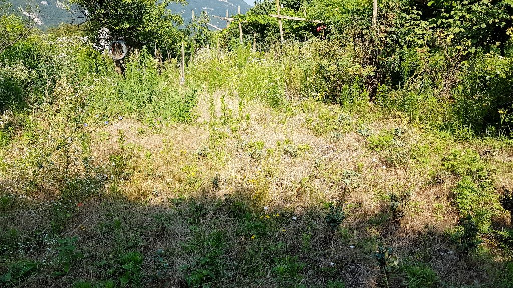 Terreno Agricolo in vendita a Mori