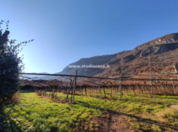Terreno Agricolo in vendita a Isera