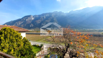Casa Bifamiliare in vendita a Avio