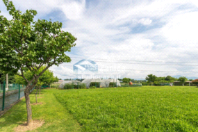 Terreno Agricolo in vendita a Zanica