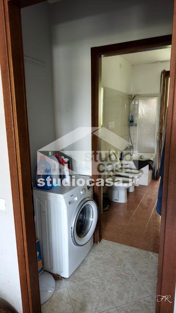 Appartamento in affitto a Albano Sant