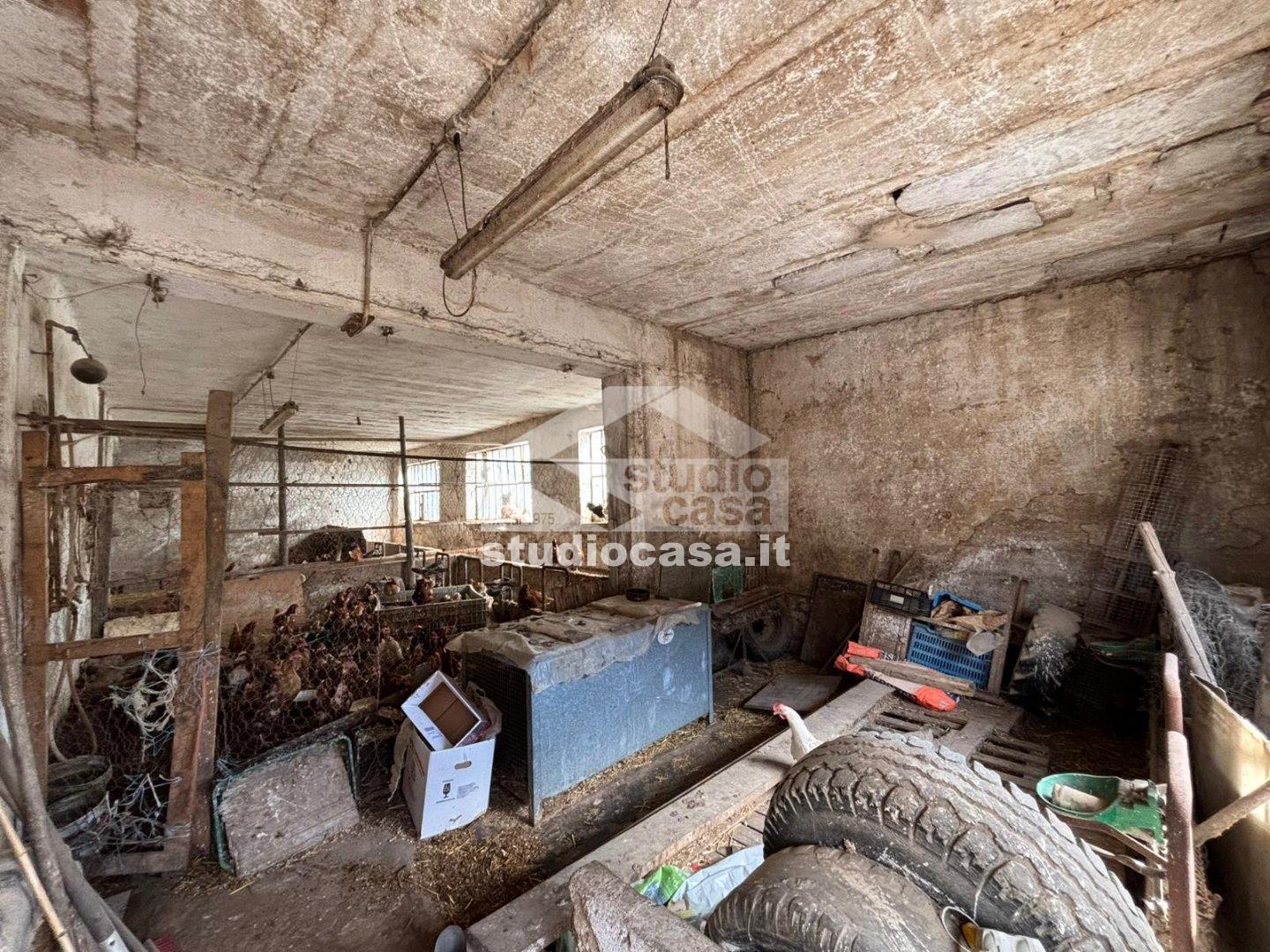 Cantina in vendita a Cimone