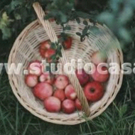 Terreno Agricolo in vendita a Dro