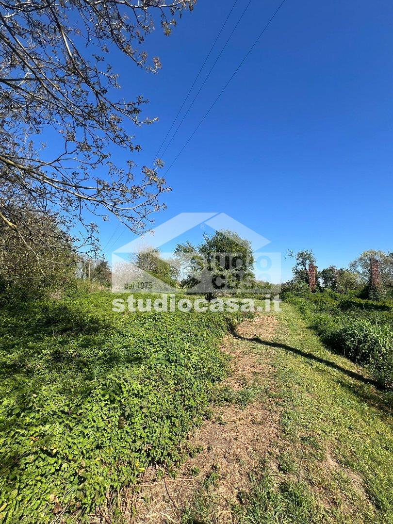 Casa Unifamiliare in vendita a Torre d