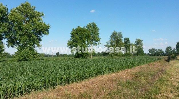 Terreno Residenziale in vendita a Marzano