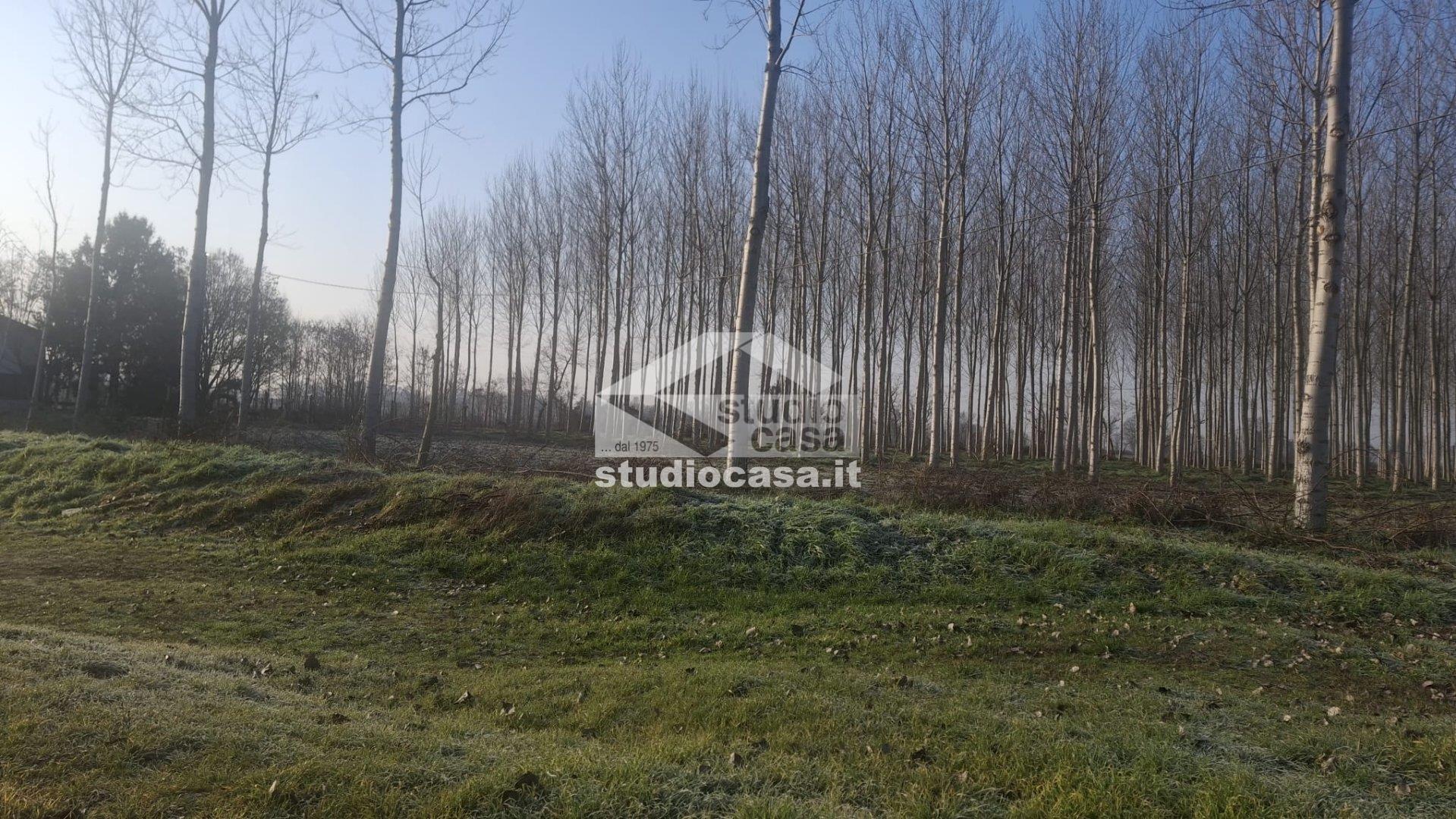 Terreno Commerciale in vendita a Vistarino