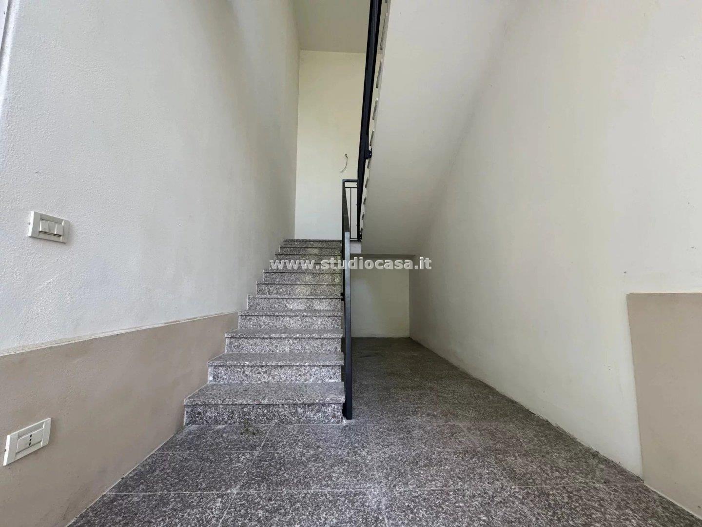 Azienda in vendita a Madignano