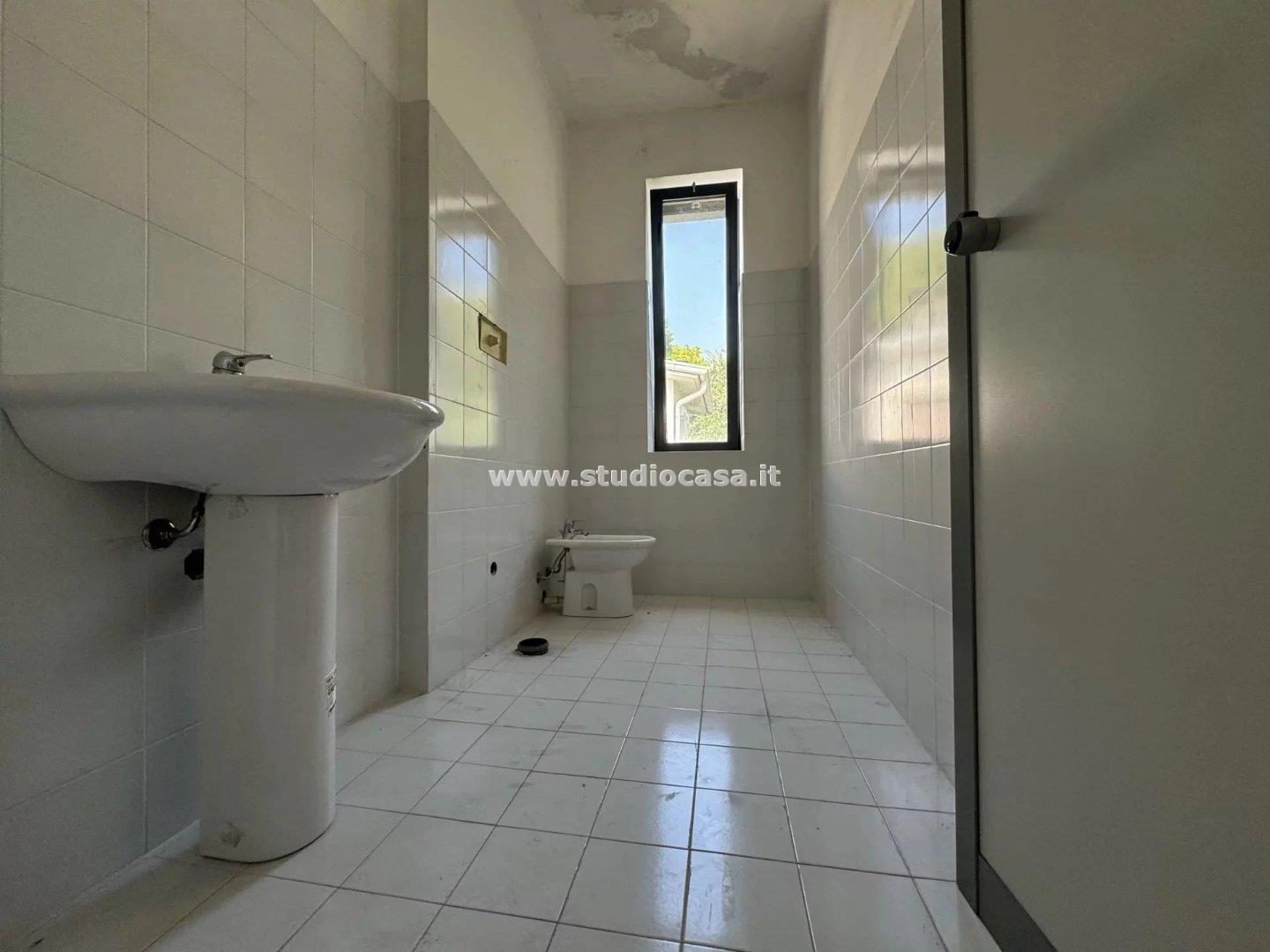 Azienda in vendita a Madignano