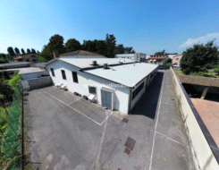 Azienda in vendita a Madignano